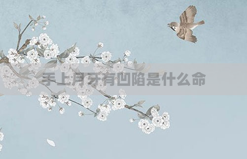 手上月牙有凹陷是什么命