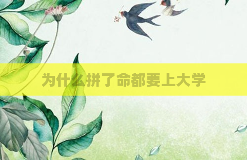 为什么拼了命都要上大学
