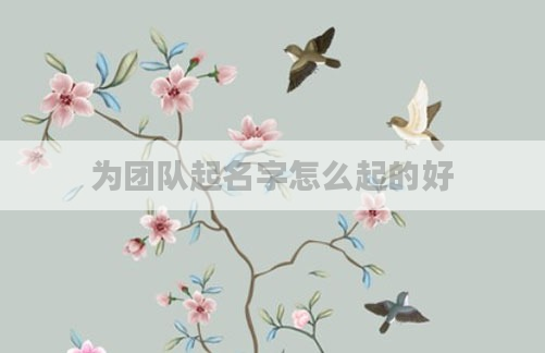 为团队起名字怎么起的好
