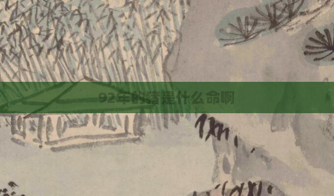 92年的猪是什么命啊