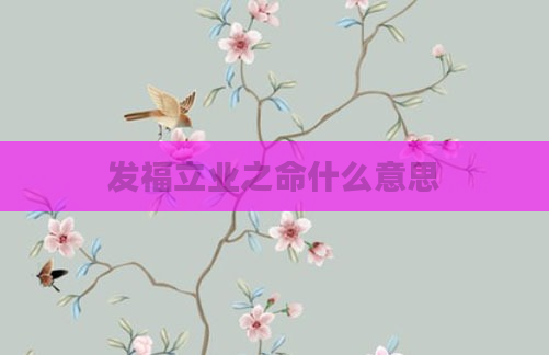 发福立业之命什么意思