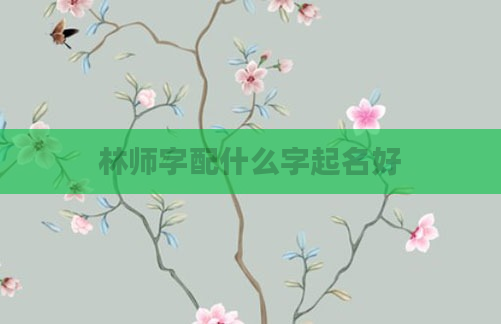 林师字配什么字起名好