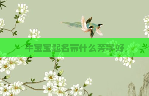 牛宝宝起名带什么旁字好