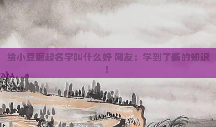 给小豆腐起名字叫什么好 网友:学到了新的知识!