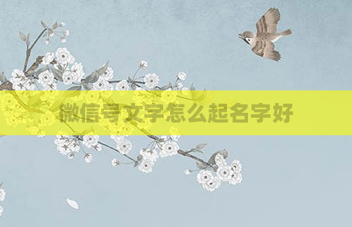 微信号文字怎么起名字好