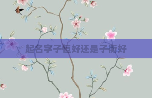 起名字子恒好还是子衡好
