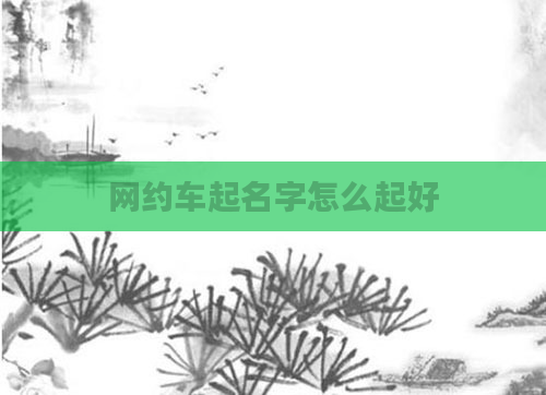 网约车起名字怎么起好