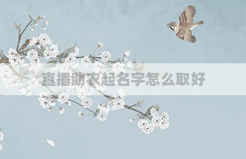 直播助农起名字怎么取好