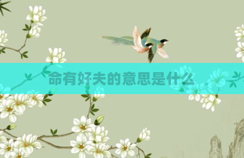 命有好夫的意思是什么