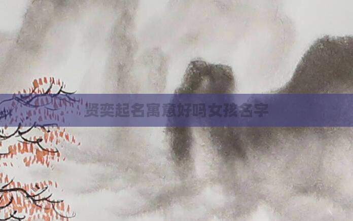 贤奕起名寓意好吗女孩名字