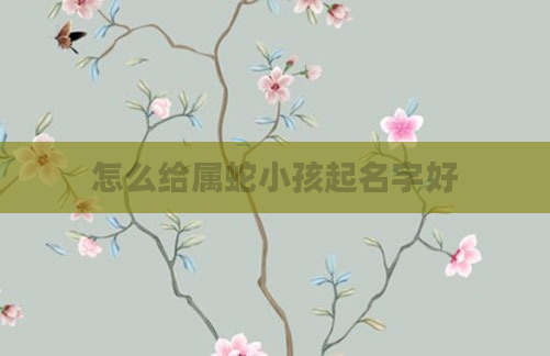 怎么给属蛇小孩起名字好