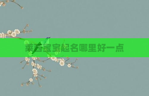 莱西宝宝起名哪里好一点