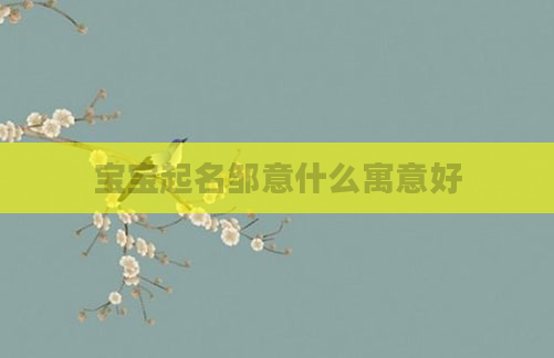 宝宝起名邹意什么寓意好
