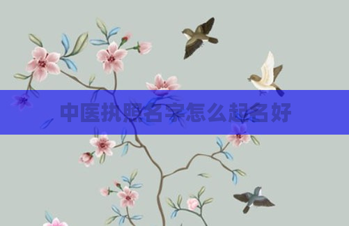 中医执照名字怎么起名好