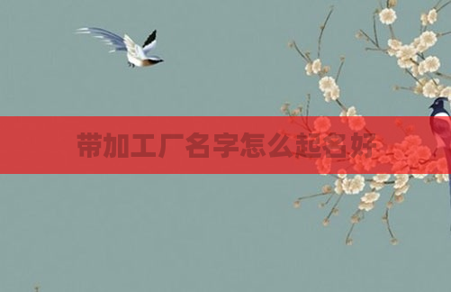 带加工厂名字怎么起名好