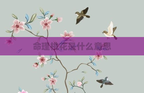 命理桃花是什么意思