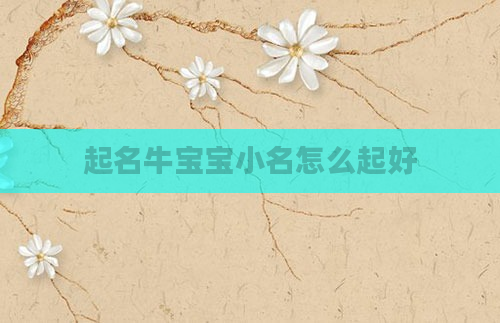 起名牛宝宝小名怎么起好