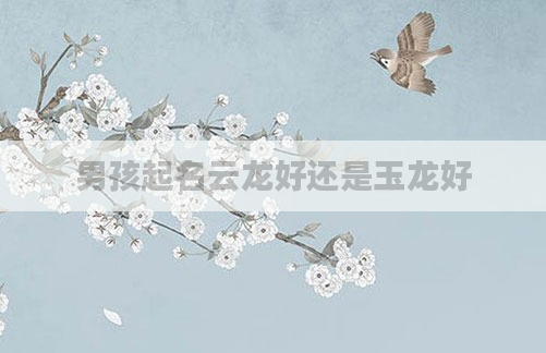 男孩起名云龙好还是玉龙好