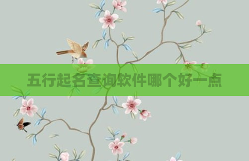 五行起名查询软件哪个好一点