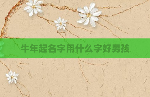 牛年起名字用什么字好男孩