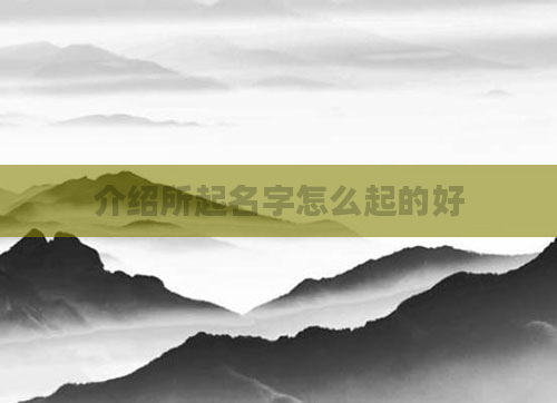 介绍所起名字怎么起的好