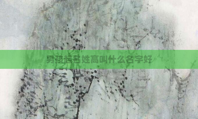 男孩起名姓高叫什么名字好