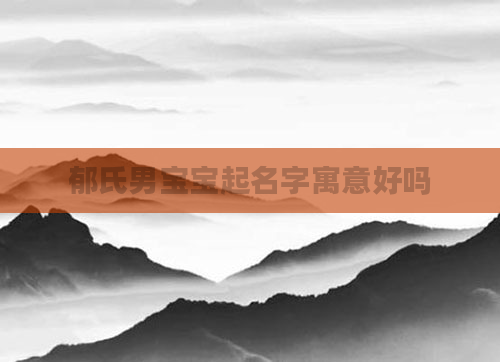 郁氏男宝宝起名字寓意好吗