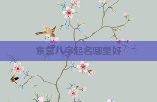 东营八字起名哪里好