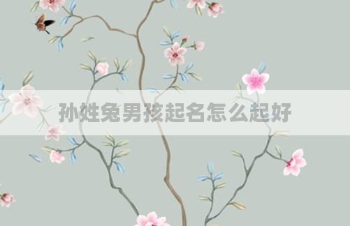 孙姓兔男孩起名怎么起好