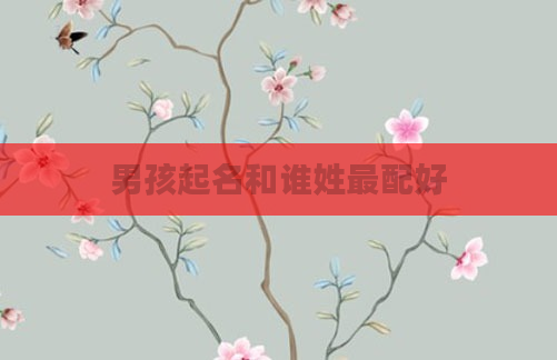 男孩起名和谁姓最配好