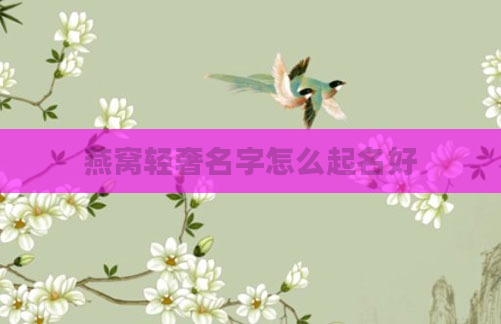 燕窝轻奢名字怎么起名好