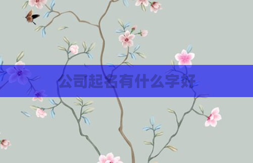 公司起名有什么字好