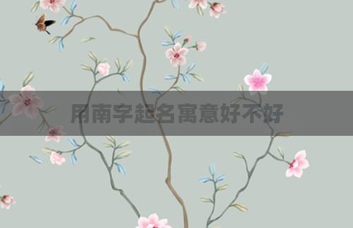用南字起名寓意好不好
