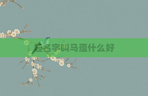 起名字叫马蕴什么好