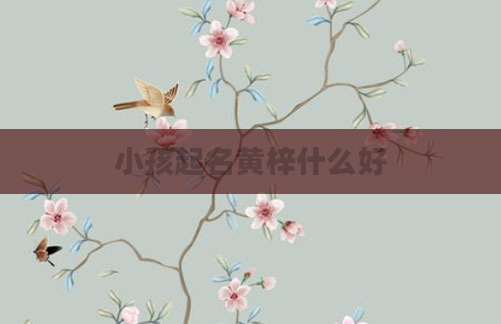 小孩起名黄梓什么好