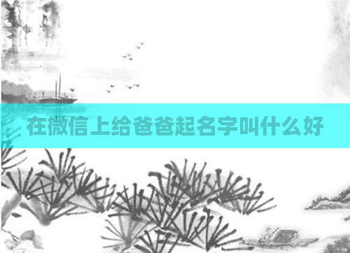 在微信上给爸爸起名字叫什么好