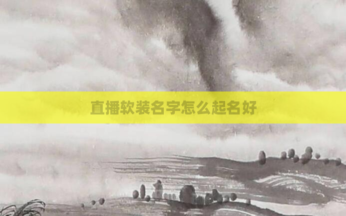 直播软装名字怎么起名好