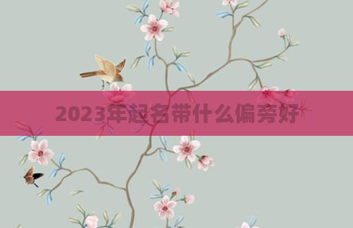 2023年起名带什么偏旁好