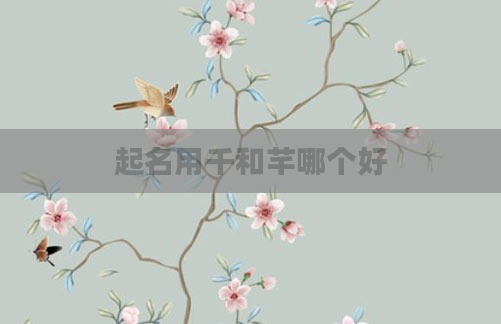 起名用千和芊哪个好