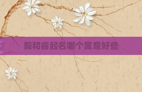 毅和睿起名哪个寓意好些