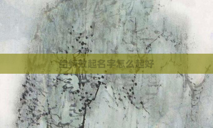 给特效起名字怎么起好