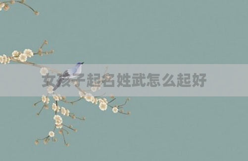 女孩子起名姓武怎么起好