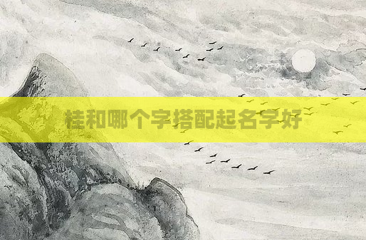 桂和哪个字搭配起名字好