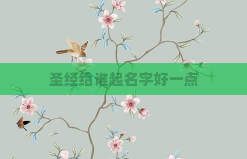 圣经给谁起名字好一点