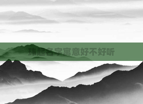 玮起名字寓意好不好听