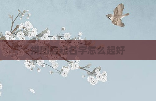 拼团店起名字怎么起好