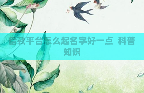 借款平台怎么起名字好一点  科普知识