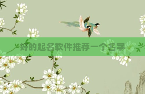 好的起名软件推荐一个名字