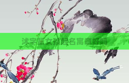 沭字辈女孩起名寓意好吗