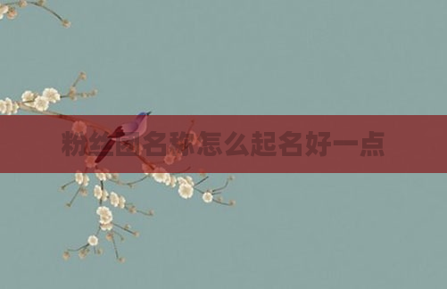 粉丝团名称怎么起名好一点